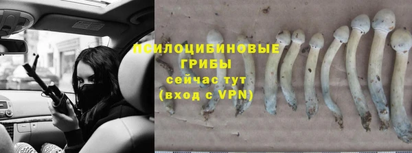 марки nbome Белокуриха