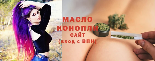 гашик Сосновка
