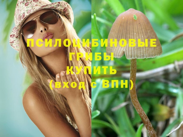 марки nbome Белокуриха