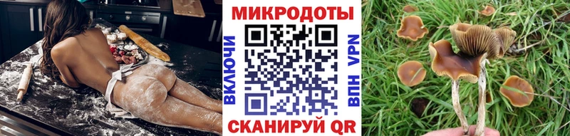 Галлюциногенные грибы прущие грибы  Курганинск 